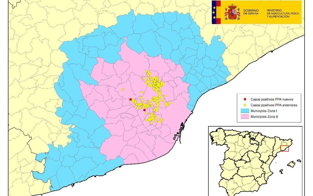 ACTUALIZACIÓN PESTE PORCINA AFRICANA EN JABALÍES SILVESTRES EN CATALUÑA