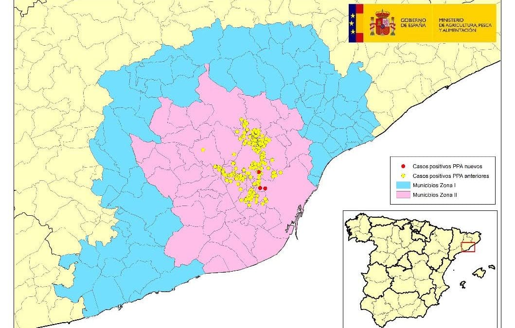 ACTUALIZACIÓN PESTE PORCINA AFRICANA EN JABALÍES SILVESTRES EN CATALUÑA