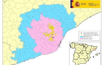 ACTUALIZACIÓN PESTE PORCINA AFRICANA EN JABALÍES SILVESTRES EN CATALUÑA