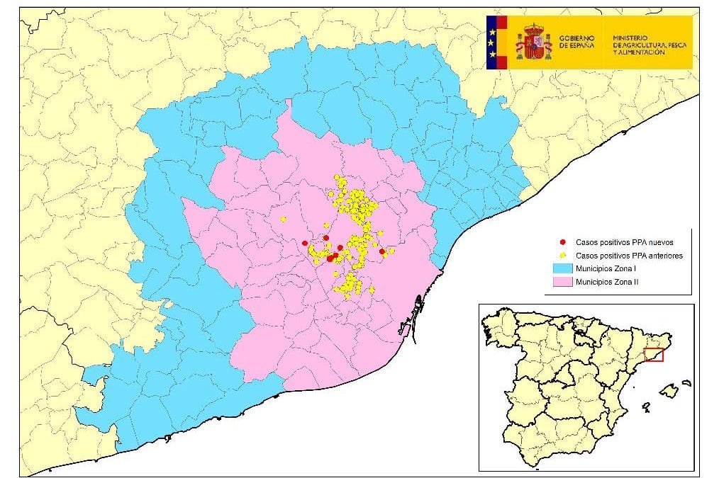 ACTUALIZACIÓN PESTE PORCINA AFRICANA EN JABALÍES SILVESTRES EN CATALUÑA