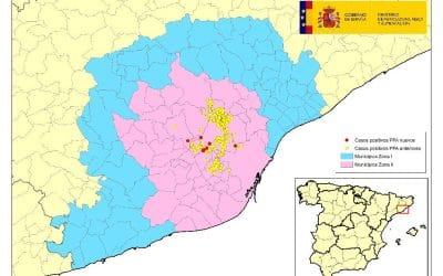 ACTUALIZACIÓN PESTE PORCINA AFRICANA EN JABALÍES SILVESTRES EN CATALUÑA