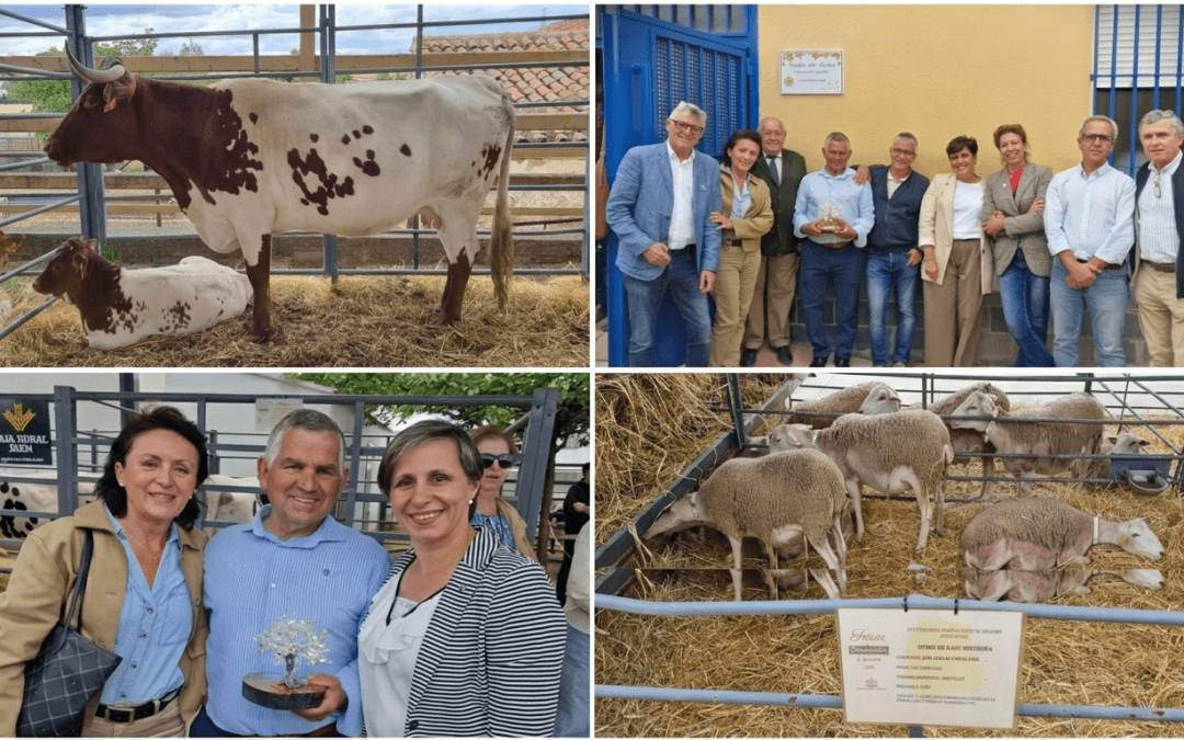El ICOV Jaén multiplica su presencia en la agenda social, cultural y científica de la provincia.