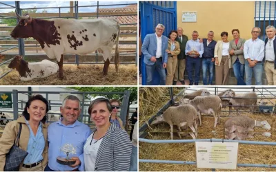 El ICOV Jaén multiplica su presencia en la agenda social, cultural y científica de la provincia.